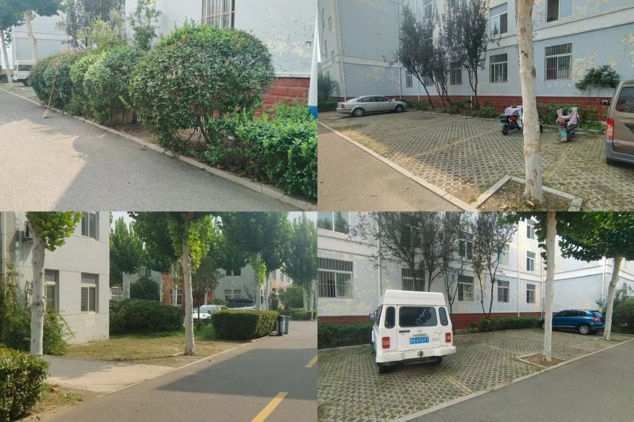 【魯南電商】共建美麗園區(qū)，我們?cè)谛袆?dòng)！1